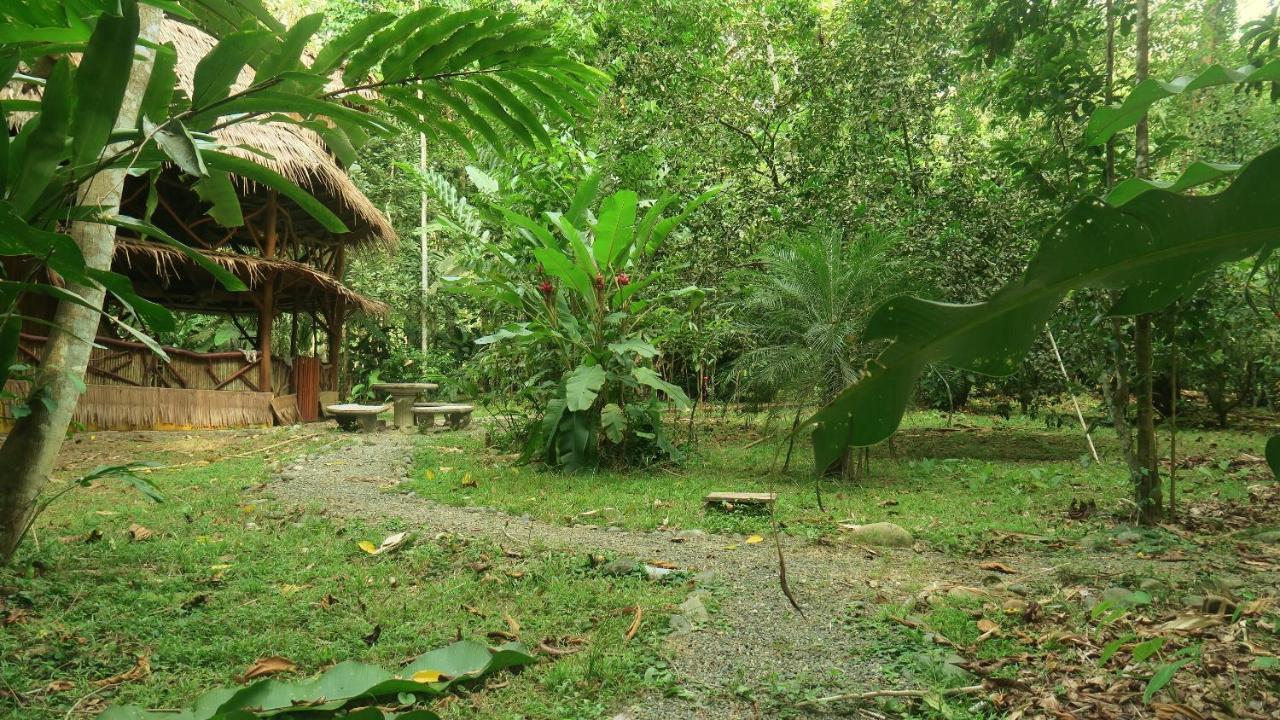 Casa Moabi Acomodação com café da manhã Cocles Exterior foto