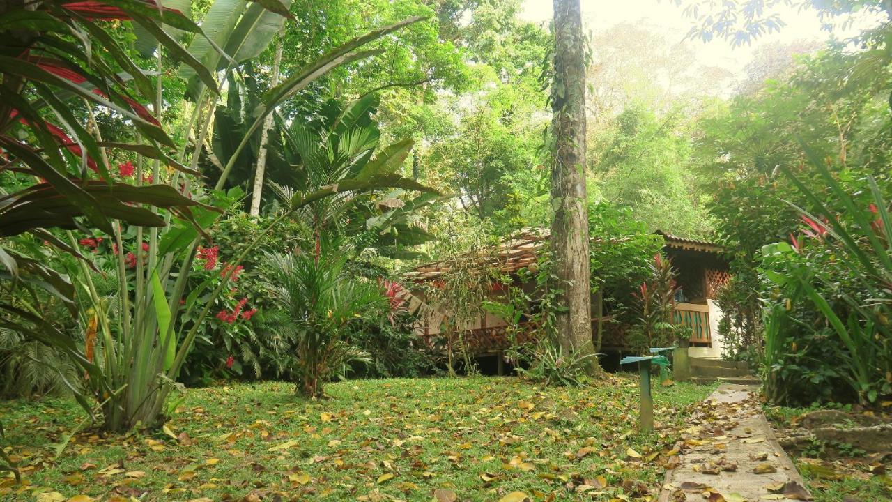 Casa Moabi Acomodação com café da manhã Cocles Exterior foto