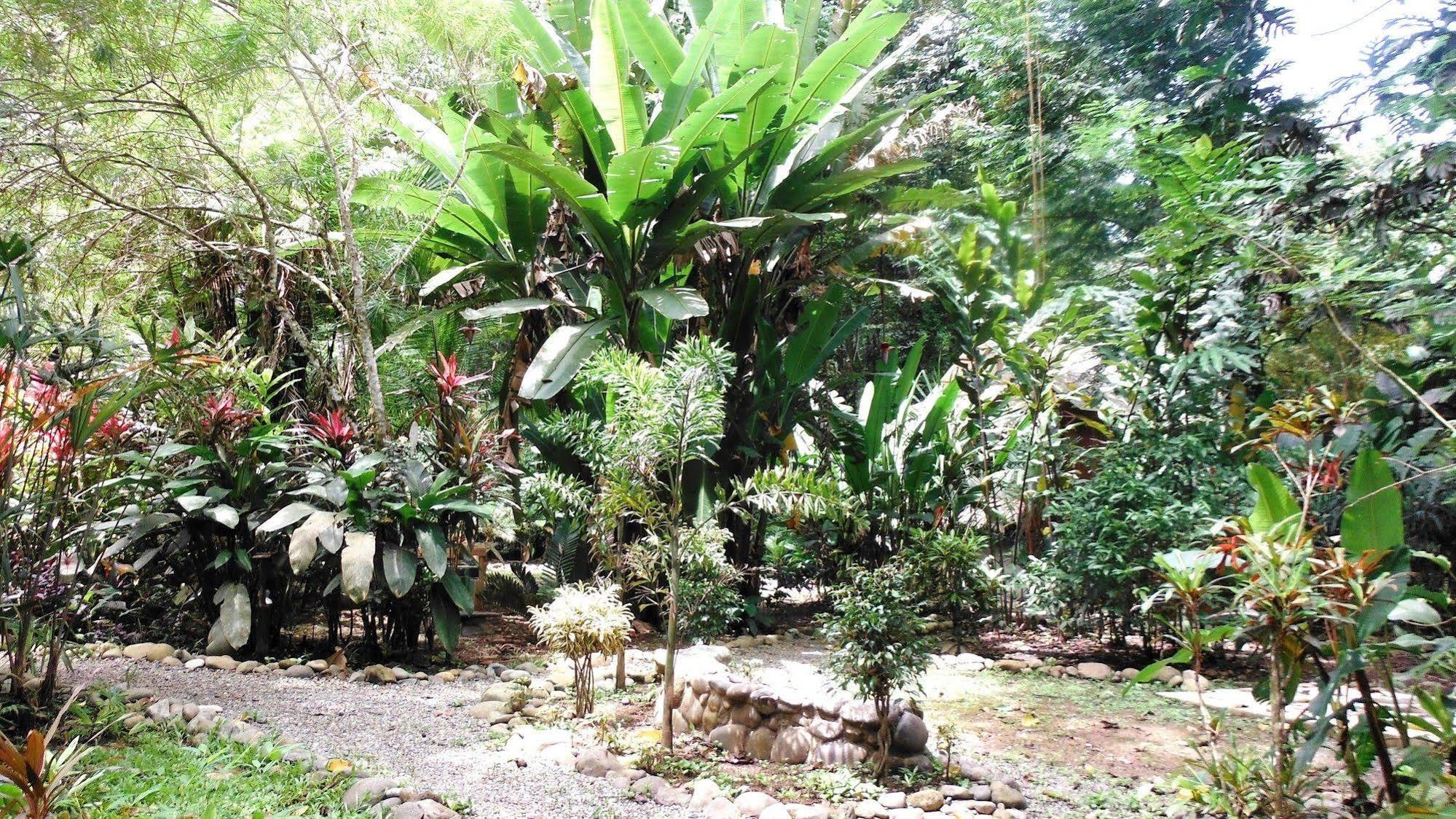 Casa Moabi Acomodação com café da manhã Cocles Exterior foto